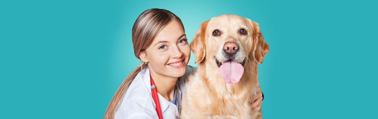 ВЫЗВАТЬ ВЕТЕРИНАРНОГО ВРАЧА НА ДОМ
Ветеринарная помощь для кошек и собак в Москве и Московской области